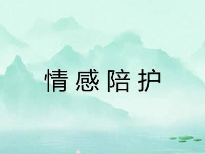情感陪护
