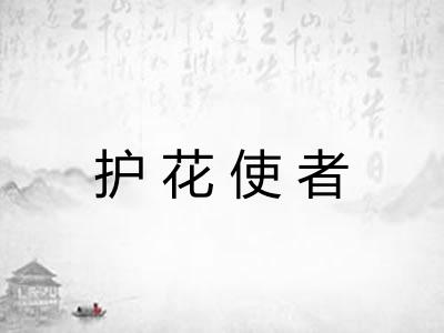 护花使者