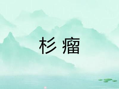 杉瘤