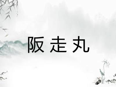 阪走丸