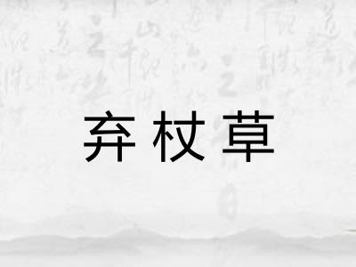 弃杖草