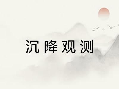 沉降观测