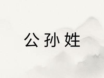 公孙姓