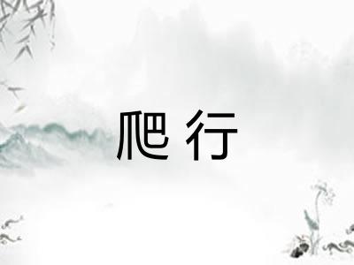 爬行