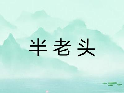 半老头