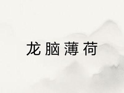 龙脑薄荷