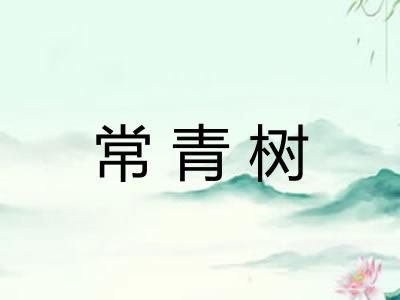 常青树