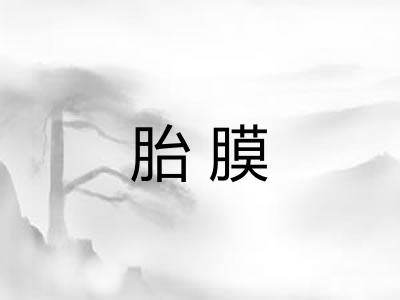 胎膜