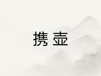 携壶