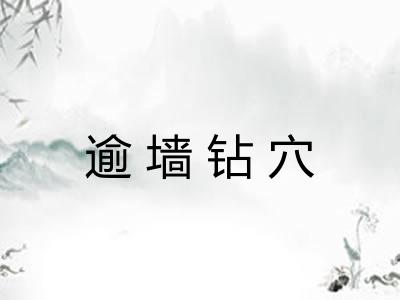 逾墙钻穴