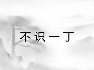 不识一丁