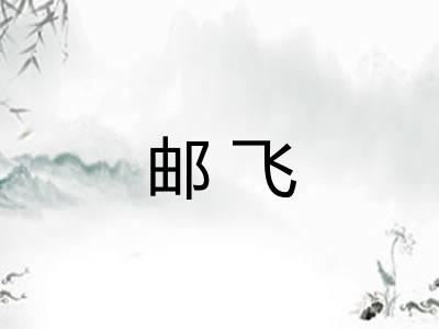 邮飞