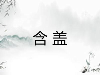 含盖