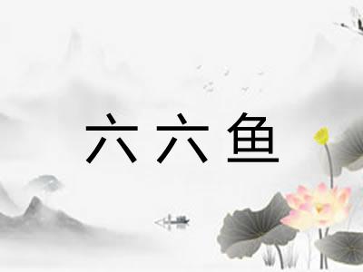 六六鱼