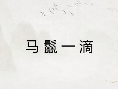 马鬣一滴