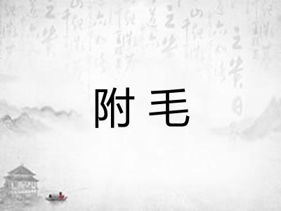 附毛