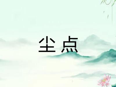 尘点