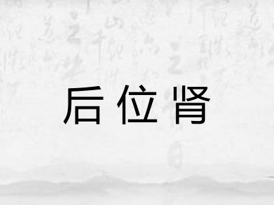 后位肾