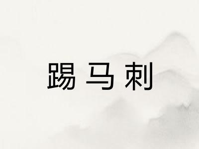 踢马刺