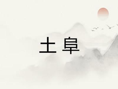土阜