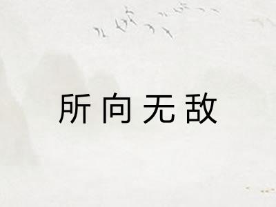 所向无敌