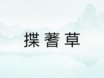 揲蓍草