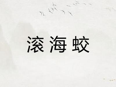 滚海蛟