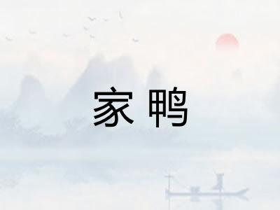 家鸭