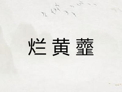 烂黄虀