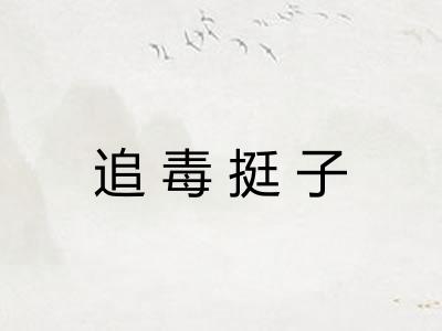 追毒挺子