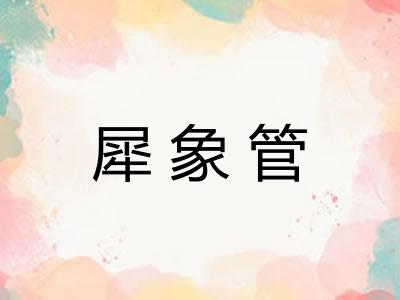 犀象管