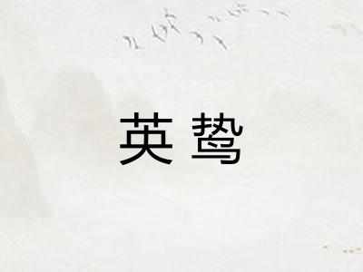 英鸷