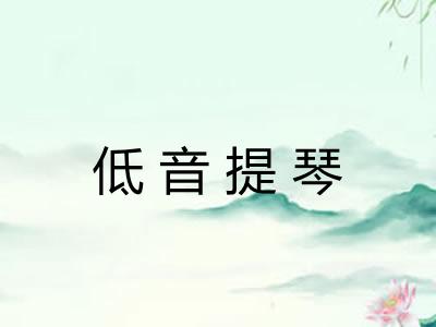 低音提琴