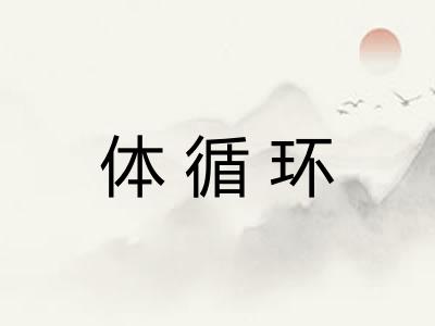 体循环