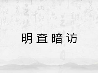 明查暗访