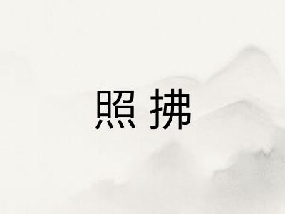 照拂