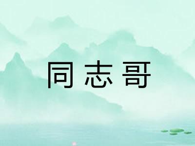 同志哥