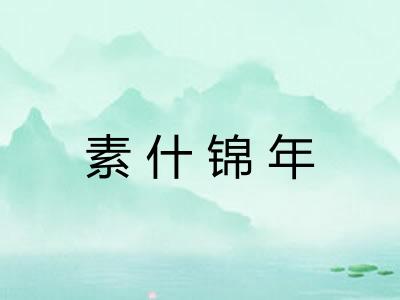 素什锦年