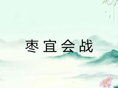 枣宜会战