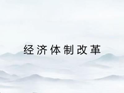 经济体制改革