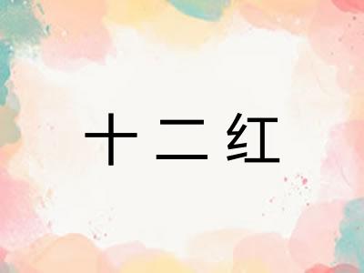 十二红