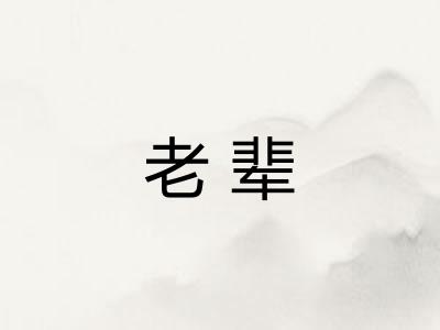 老辈