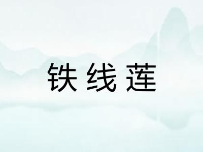 铁线莲