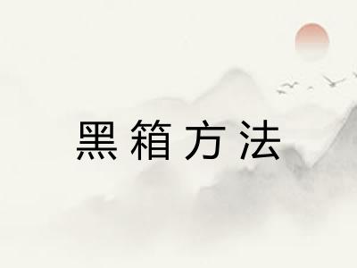 黑箱方法