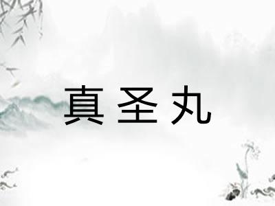 真圣丸