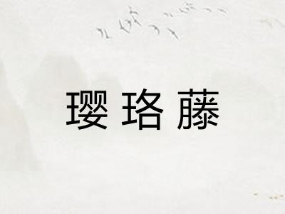 璎珞藤