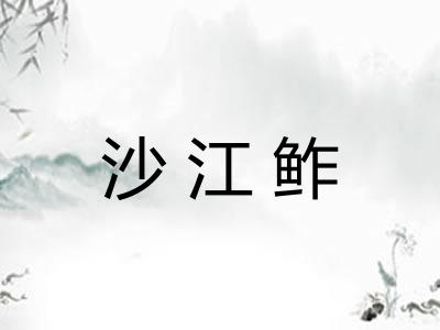 沙江鲊