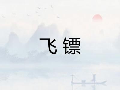 飞镖