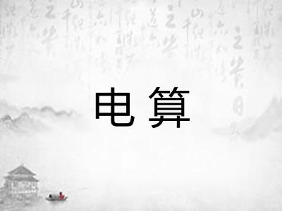 电算