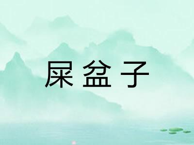 屎盆子